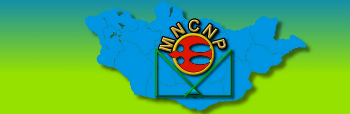 MnCNP